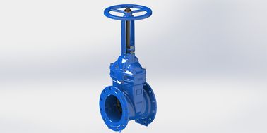 耐久性 2 インチ水門バルブ 低保養工業用