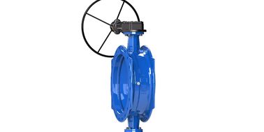 レストランやバーの水システムのための二重エキセントリックバタフライバル