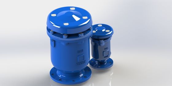 産業流体システム用 50-300mm ダクタイル鋳鉄製複合エア抜き弁（トリプル機能付き）