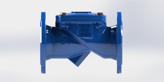 スウィングフレックスチェックバルブ PN16 プレッシャー評価,柔らかい鉄体,水用EPDMシール材料