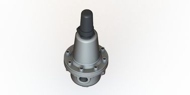 圧差制御バルブキット SS304 ボディ出口 圧力が調節可能